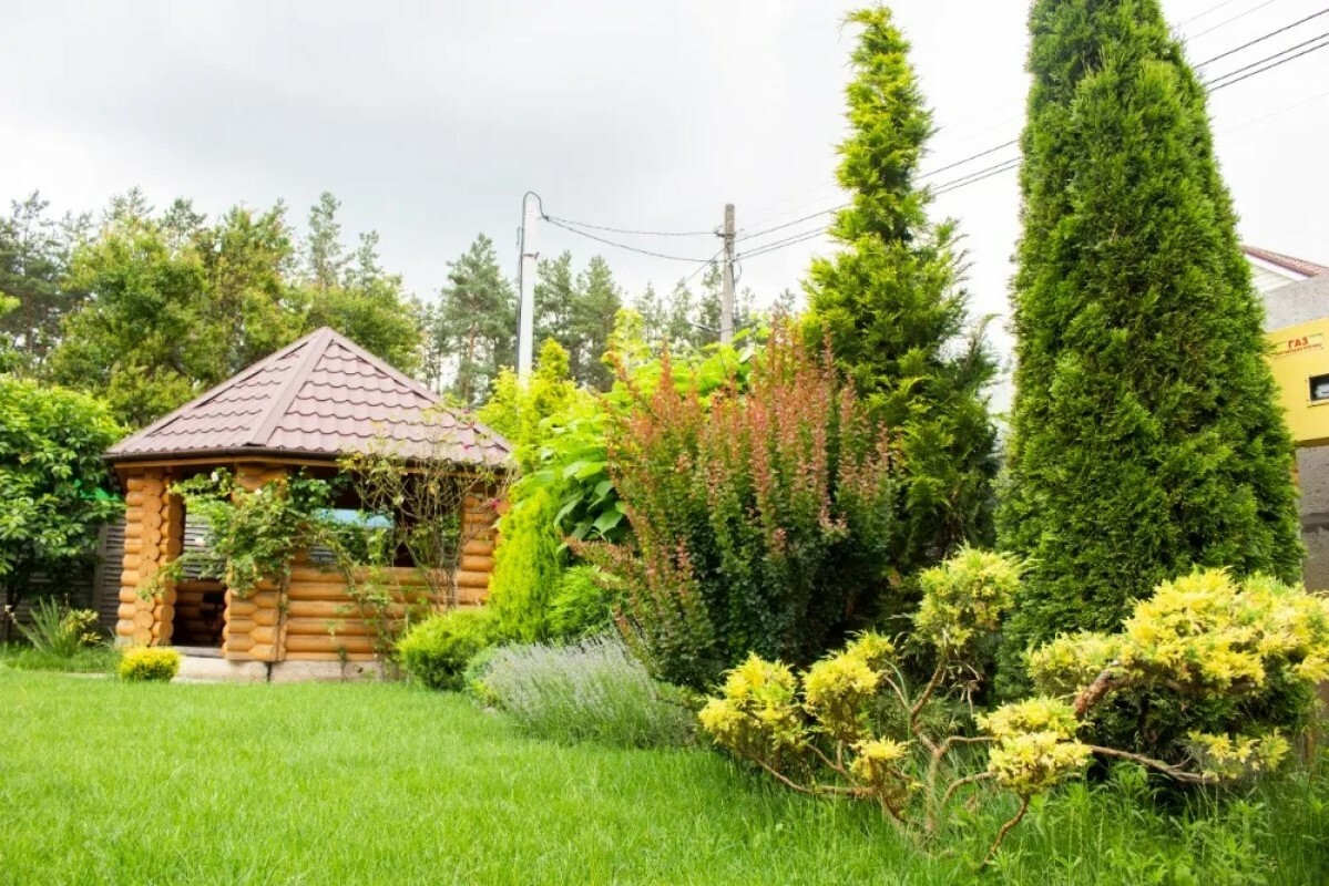 https://kolpino.tgv-stroy.ru/storage/app/uploads/public/637/ef4/fb3/637ef4fb3605f391429275.png